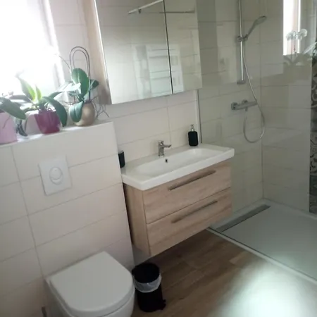 度假居 Maison De Centre Alsace